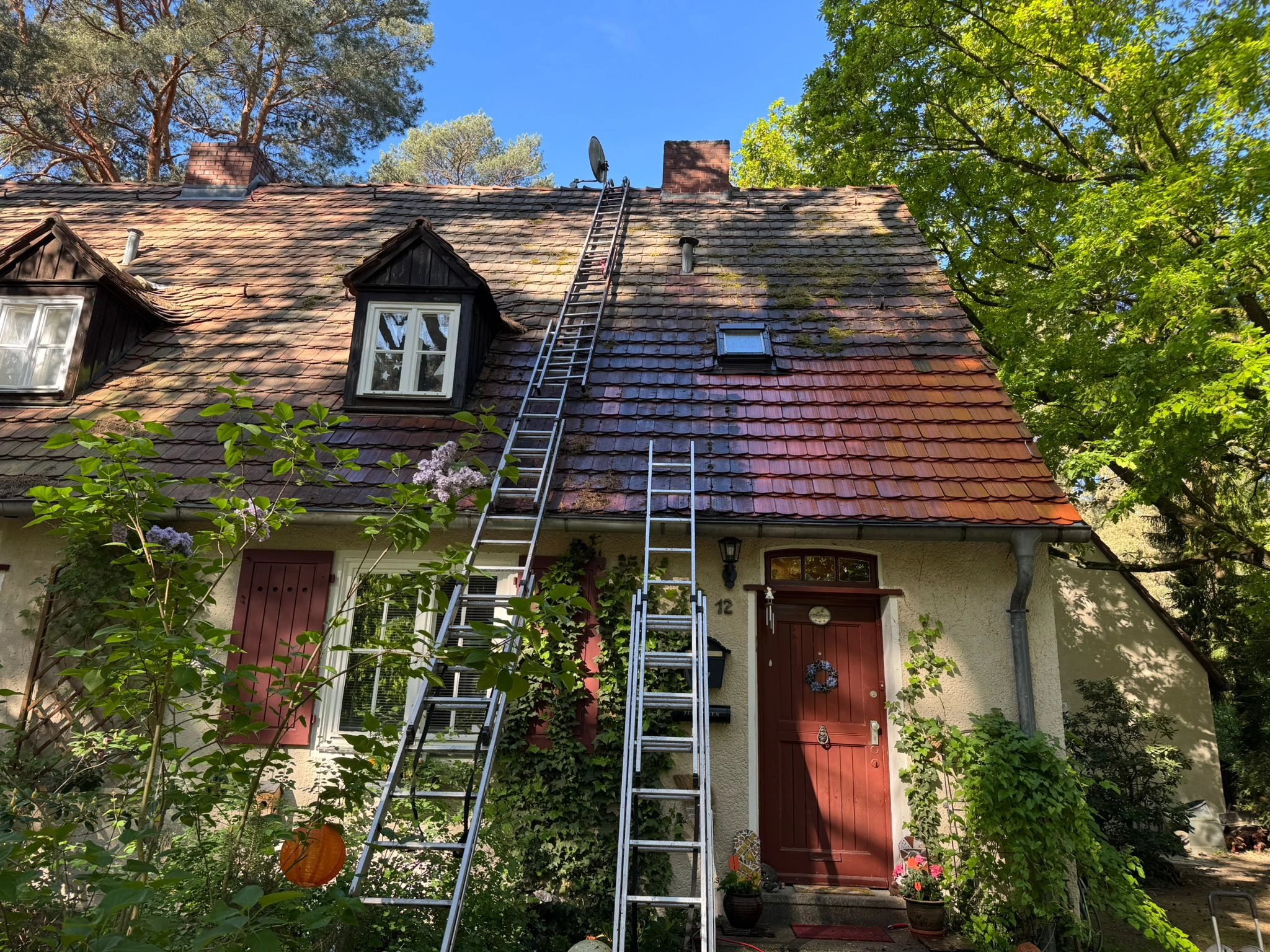 Dach unter Denkmalschutz - Dreckig