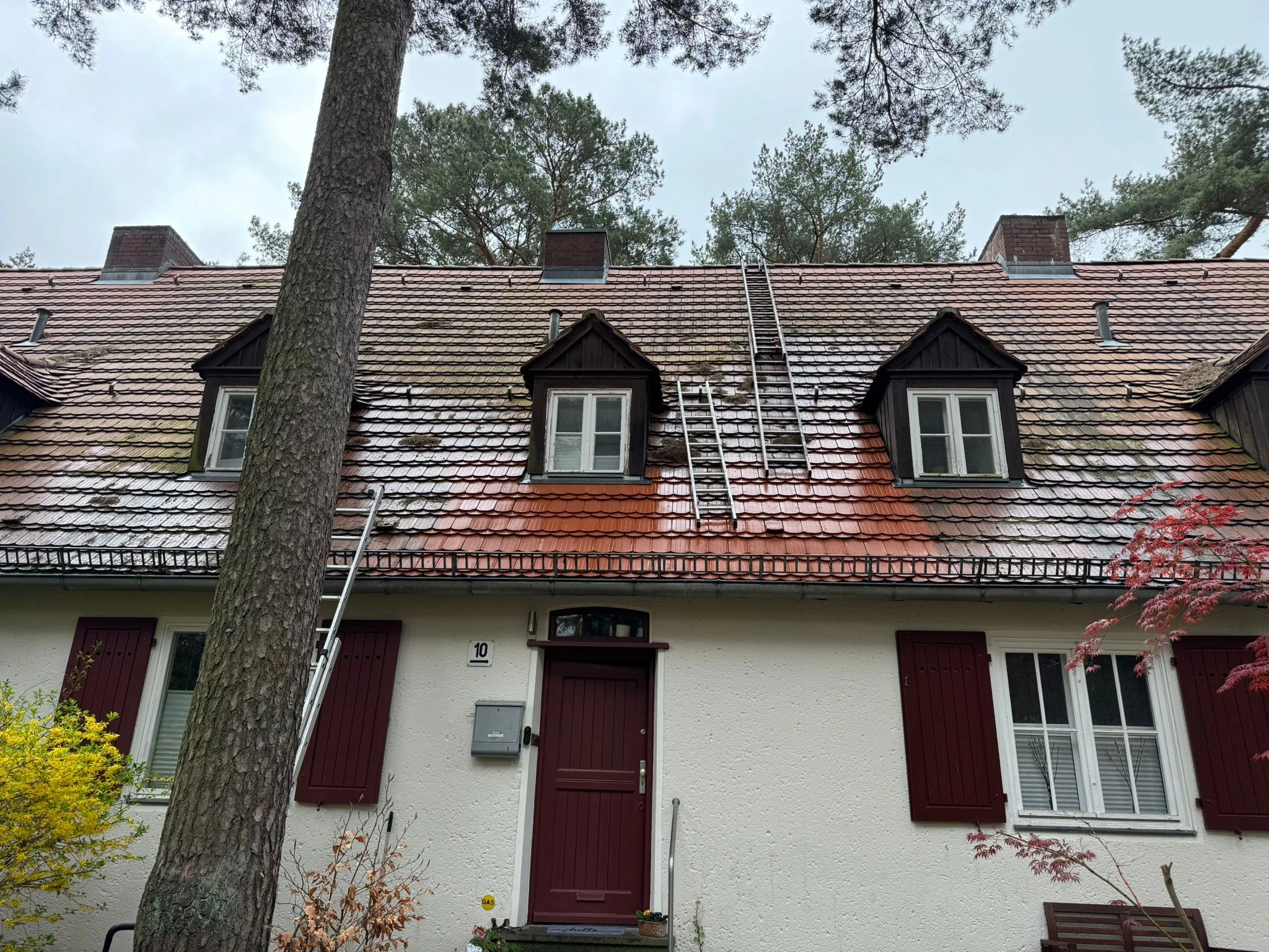 Dach unter Denkmalschutz - gereinigt